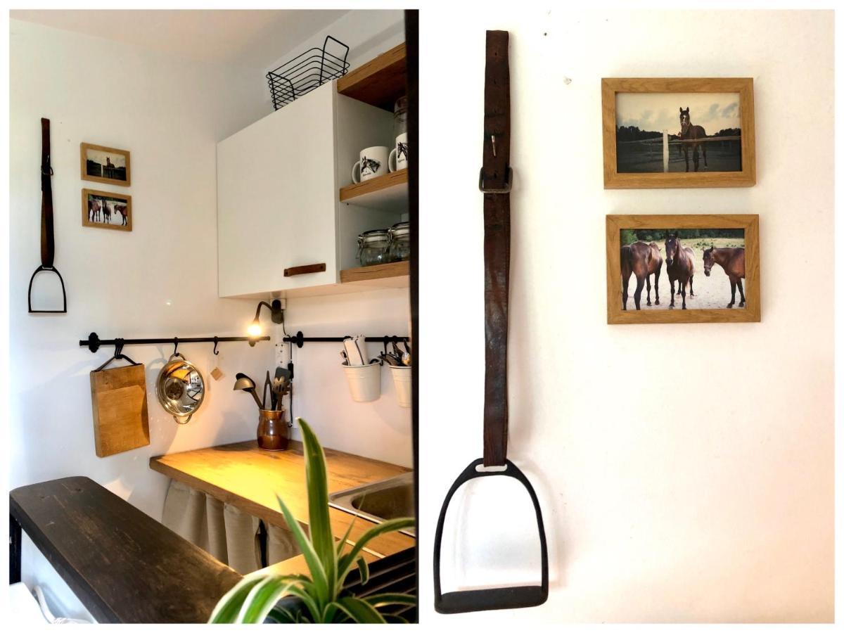 Apartamenty Lajkonik Dąbrówno المظهر الخارجي الصورة