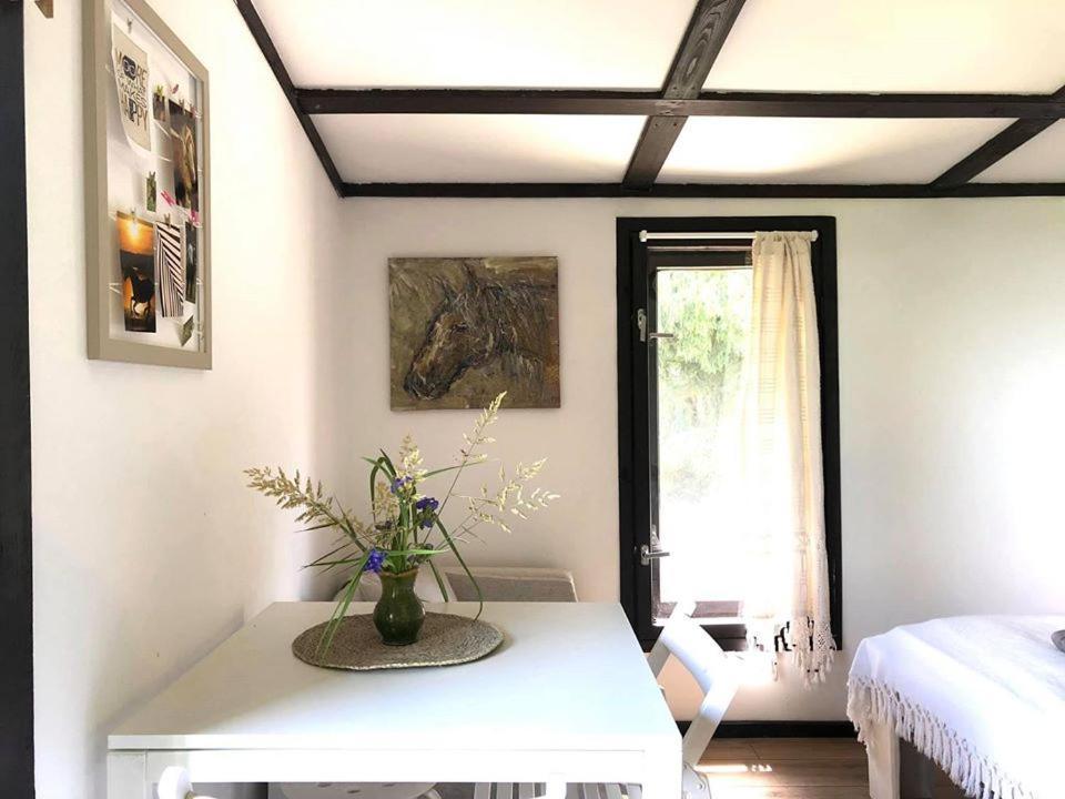 Apartamenty Lajkonik Dąbrówno المظهر الخارجي الصورة